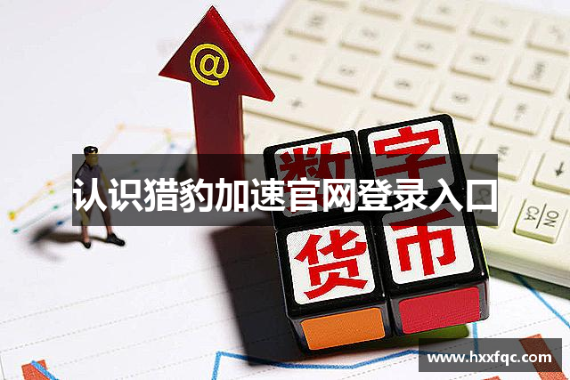 认识猎豹加速官网登录入口